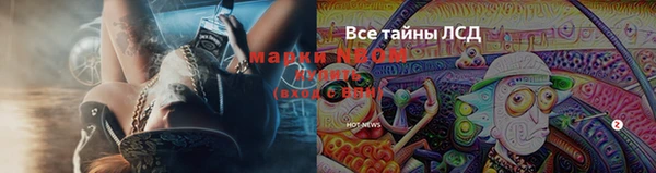 дмт Балахна