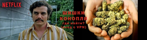 дмт Балахна