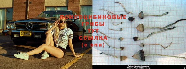дмт Балахна