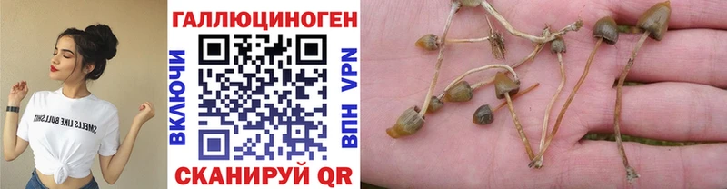 Галлюциногенные грибы прущие грибы  наркошоп  Пятигорск 