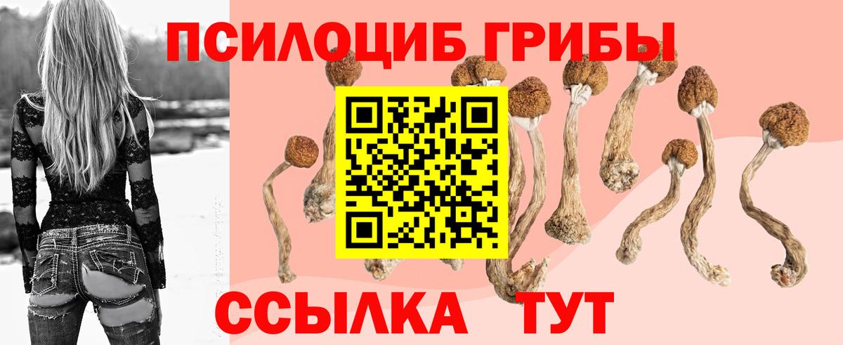 Псилоцибиновые грибы GOLDEN TEACHER  Галлюциногенные грибы ЛСД  Вход с VPN  Пятигорск 